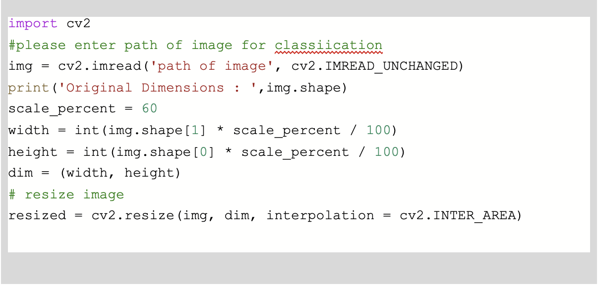 Image Classification